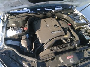 IMG_20180119_151254.jpg