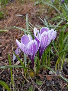 20170425_115525.jpg