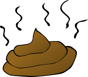 IMG_0344.PNG