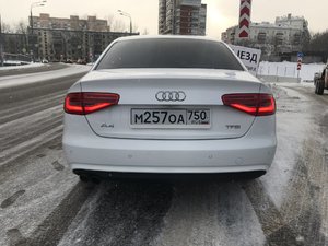 IMG_5428.jpg