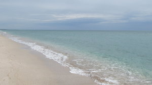 IMG_1525.JPG