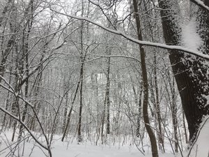 IMG_5035.JPG