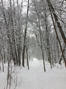 IMG_5036.JPG