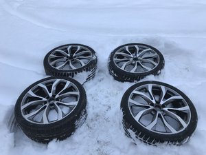IMG_0515.jpg
