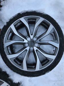 IMG_0514.jpg