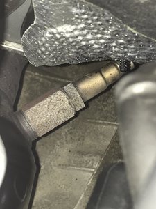 73823C87-090D-4438-AA18-E580D794C259.jpeg