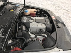 IMG_0259.jpg