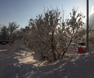 IMG_5047.JPG