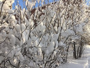 IMG_5048.JPG