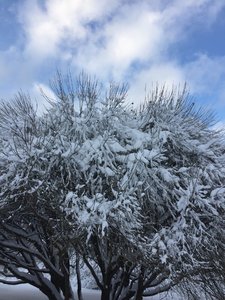 IMG_5055.JPG