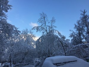 IMG_5061.JPG