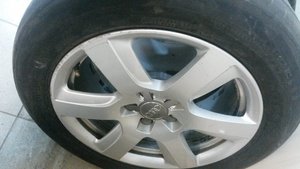 20180211_124628.jpg