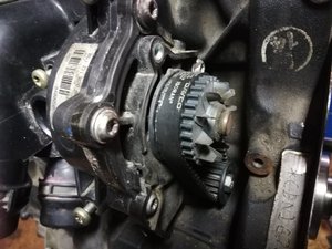 IMG_20180210_151949.jpg