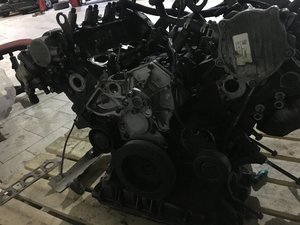 E153FCB5-3495-422F-8CC8-93C2532ED2CA.jpeg