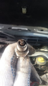 20180225_114018.jpg