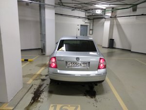 IMG_0619-27-02-18-03-00.JPG