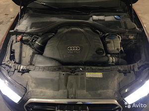 4258161989.jpg