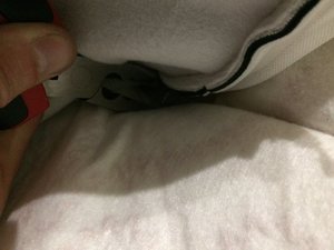 IMG_3456.JPG