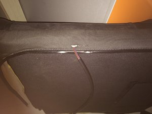 IMG_3613.JPG