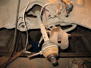 IMG_0298_1.jpg