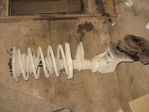 IMG_0286_1.jpg