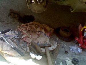 08072009.jpg