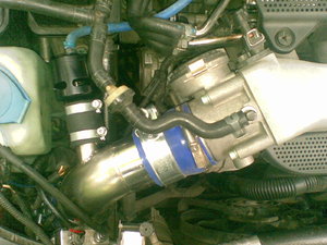 06072009367.jpg