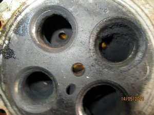 IMG_0449.JPG