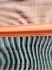 IMG_20180318_121157.jpg