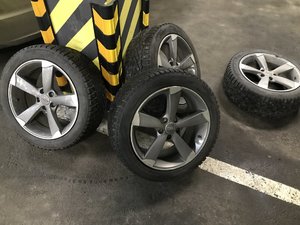 IMG_3446.JPG