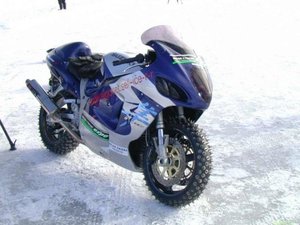 image_5.jpg
