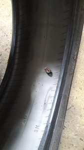 20180429_120015.jpg