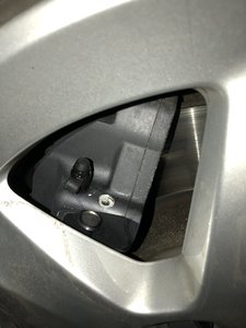 771E00C0-9947-4C58-8090-EC95C4575E16.jpeg