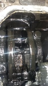 20180501_151141.jpg