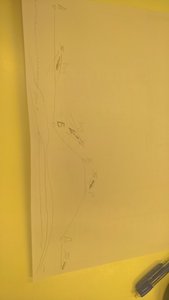 WP_20180518_12_28_09_Rich.jpg