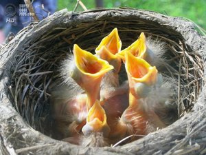 supercoolpics_03_11092013180712.jpg