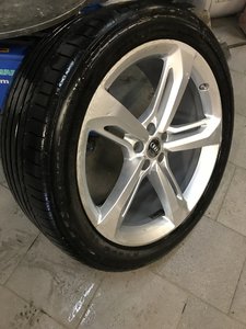 IMG_8633.JPG