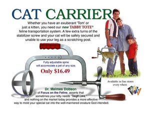 cat92.jpg