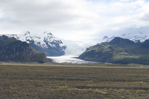 IMG_2662.jpg