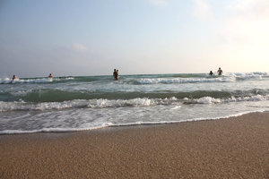 IMG_9809.jpg