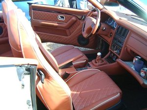 1239916073_11.jpg