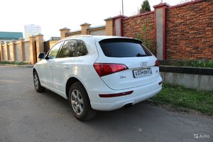 4501061536.jpg