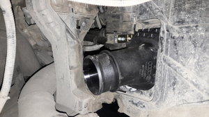 20180601_012845.jpg