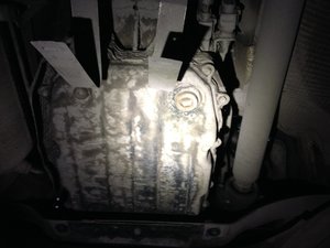 IMG_0714.JPG