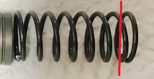 862d0f9s-1920 (1).jpg