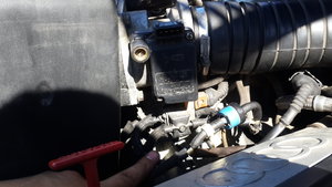20180626_161652.jpg