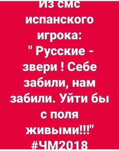 90E2E0DE-44E8-488E-ABF0-2ED36F35C17A.jpeg