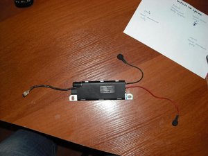 IMG_5596.jpg