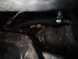 IMG-20180711-WA0001.jpg