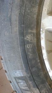 DSC_1184.JPG